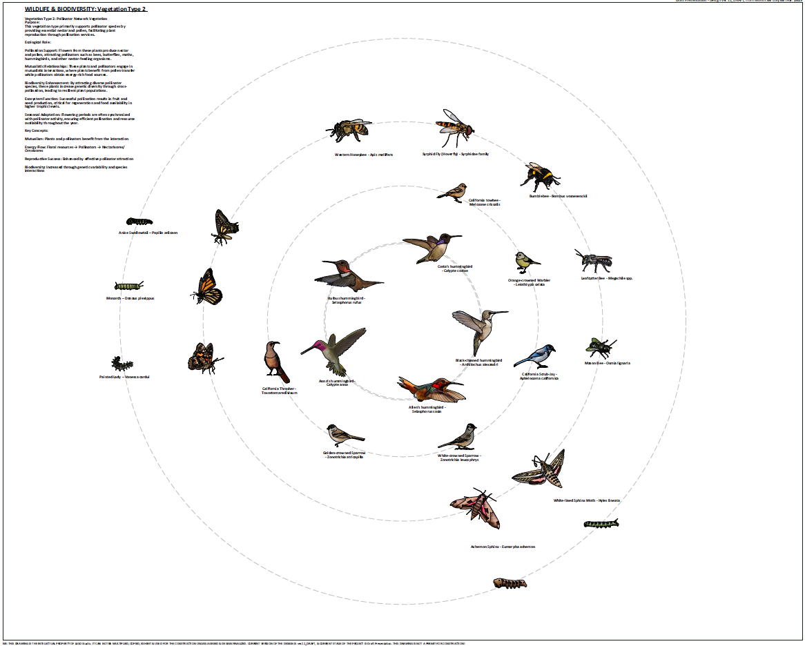 Southern California wildlife and biodiversity trophic network diagram illustrating pollinators, birds, insects, and small mammals within an ecological landscape restoration framework