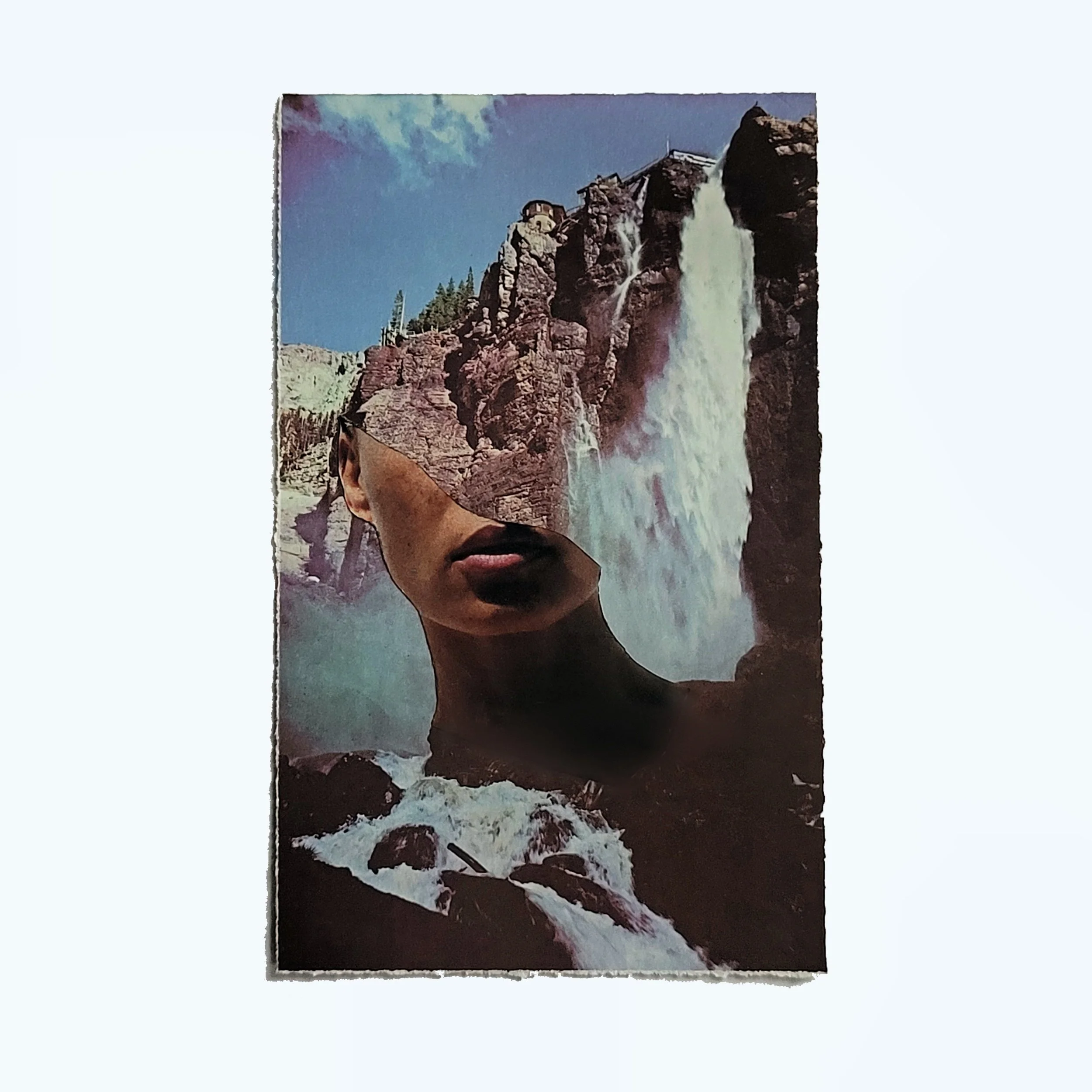 processed_1003 (1).jpg