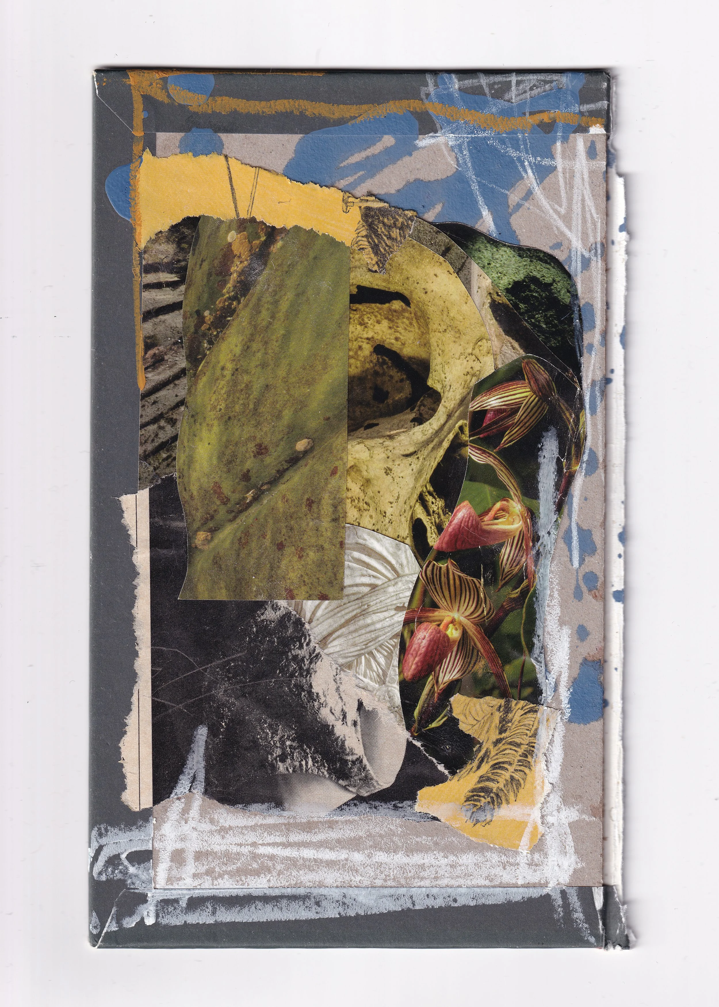 cover 2