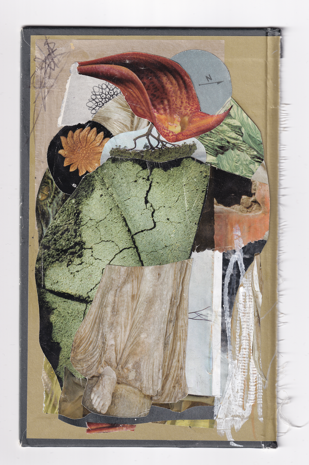 cover 1
