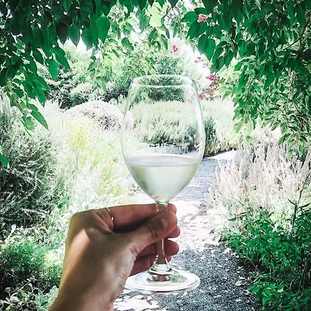 It&rsquo;s a perfect weekend for wine country..we are having very spring like weather in the Bay Area! We have a glass of @frogsleap Sauv Blanc on our list thanks to wine and travel expert @ladolcevigna ✨ ⠀⠀⠀⠀⠀⠀⠀⠀⠀
#travelgirlshub #girlpowertravel #w