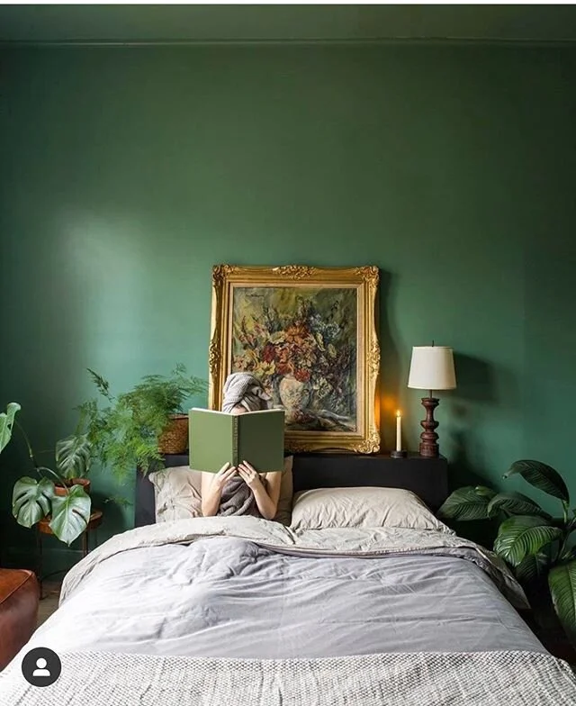 Today&rsquo;s plans: 🌱☕️📖 ⠀⠀⠀⠀⠀⠀⠀⠀⠀
Photo by @emma_austen in the gorgeous Jungle room at @thefilomena in the Berkshires. ⠀⠀⠀⠀⠀⠀⠀⠀⠀
#mytinyatlas #theprettycities #passionpassport #plantlife &ldquo;plantgoals #plant_problem #travelgirlshub #girlpower