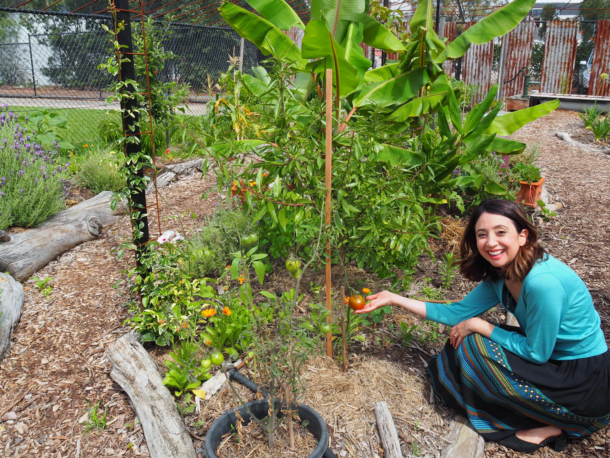 NEW OUTDOOR PLAY AND LEARNING SPACES FOR CROXTON STUDENTS