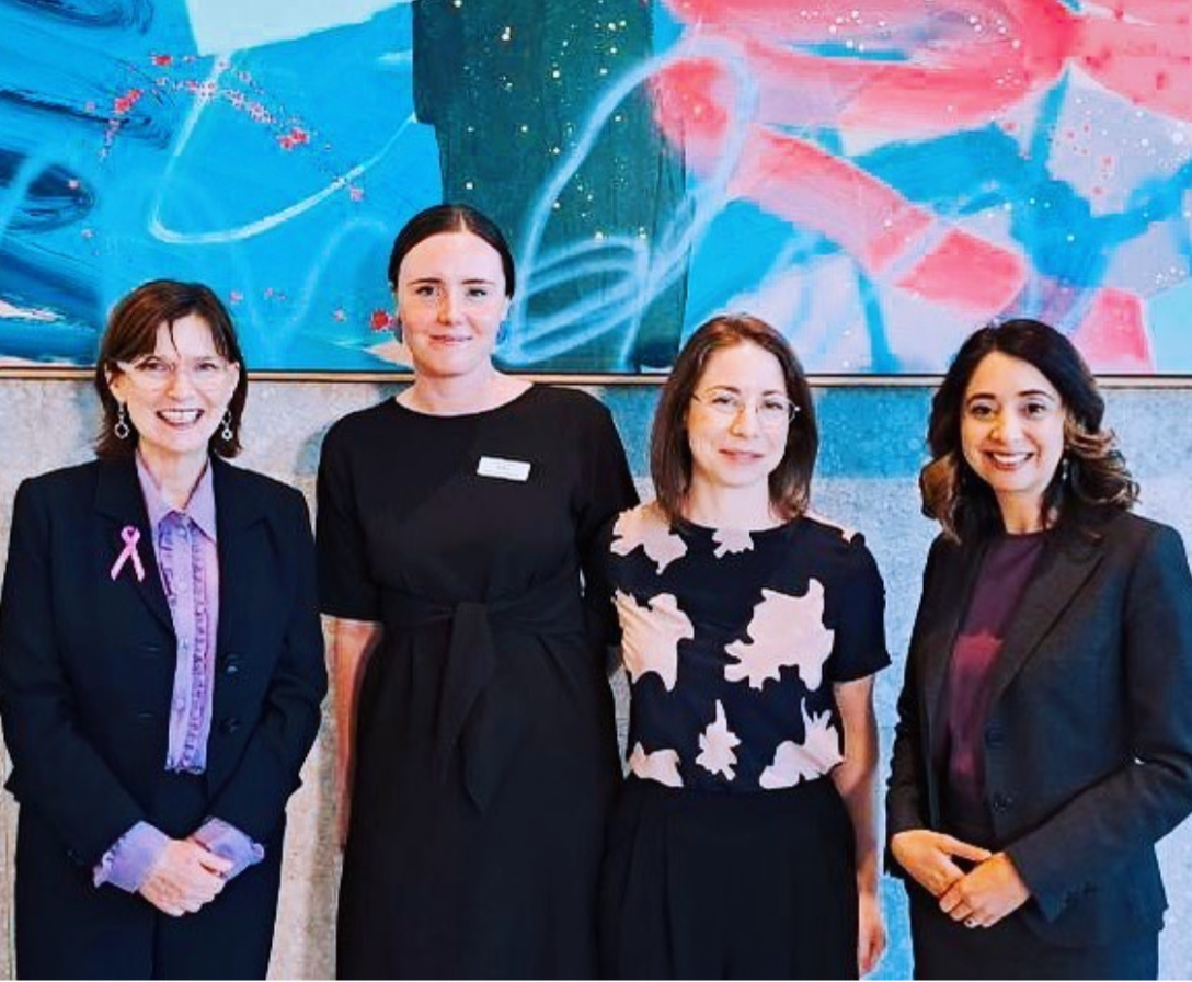 Kat Theophanous MP — Safe Affordable Healthcare For All Victorian Women