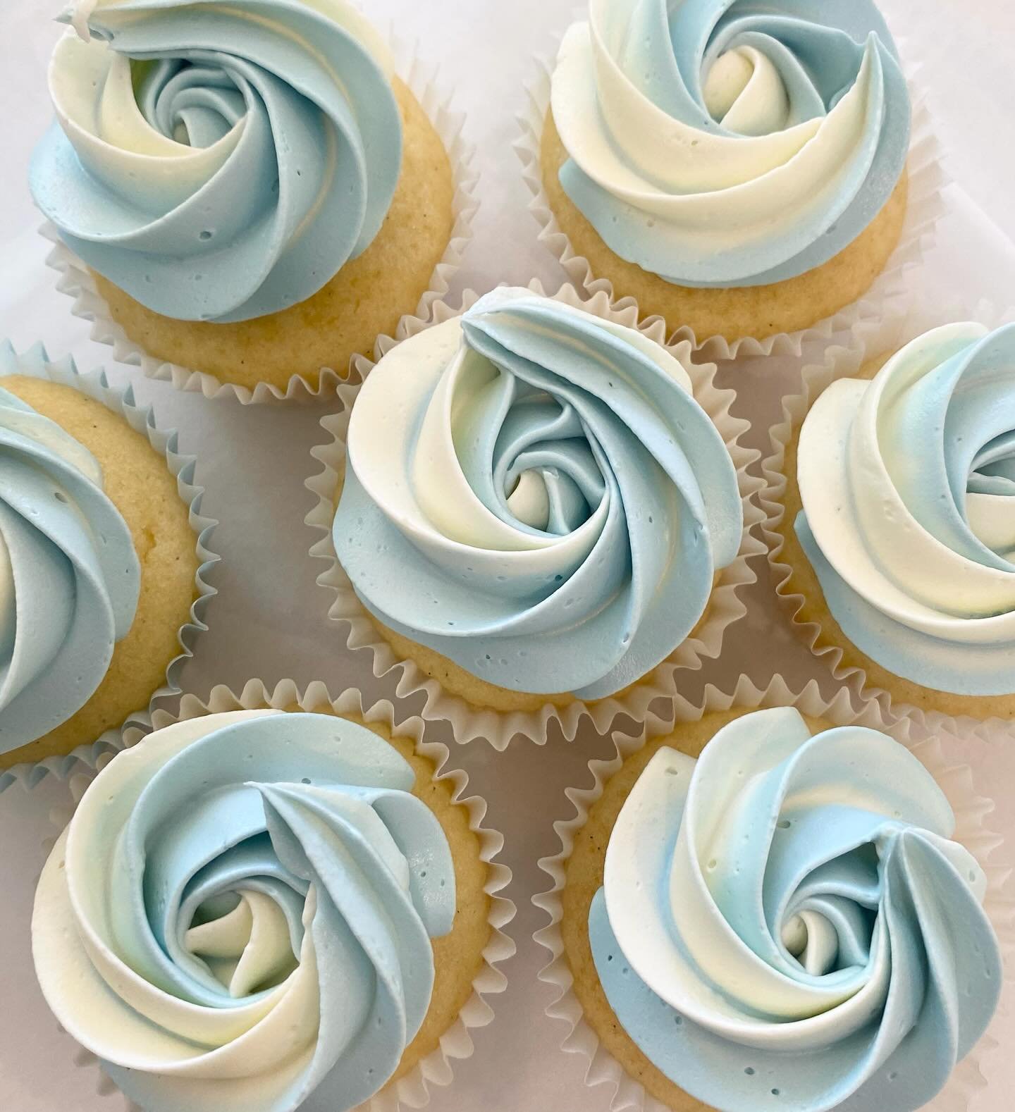 Mini cupcakes for a special event @stcatherinesschool . #cupcakestagram #minicupcake #melbournecupcakes #buttercreamcakedesign #melbournecake #vanillacupcake #cupcakecupcake #letseatcake #cakesmadewithlove