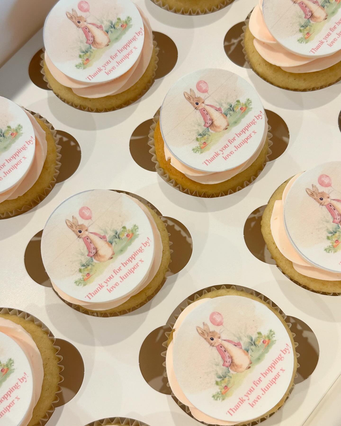 Mini cupcakes with custom made toppers for Juniper&rsquo;s first birthday. #cupcakegrid #cupcakecupcake #melbournecupcakes #melbournecake #melbournecakedecorator #vanillacupcake #instagramcupcakes #buttercreamfrosting #firstbirthday #letseatcake #cak