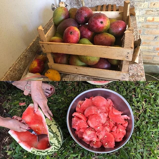 A box of mangoes and a bowl of watermelon. Una caja de mangos y un bol de sand&iacute;a.