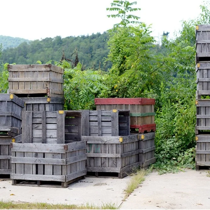 Urban Tree Cidery