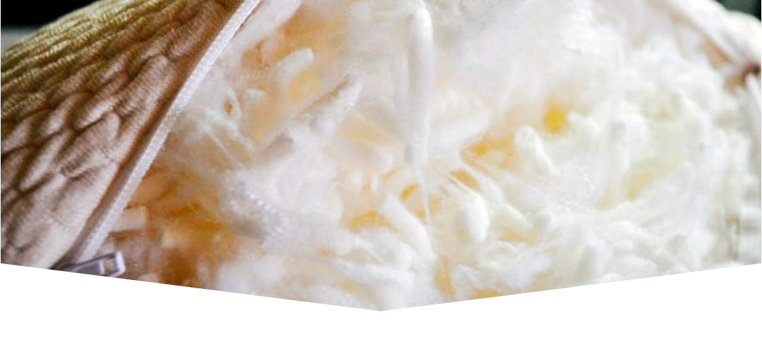 BANNER-12.png