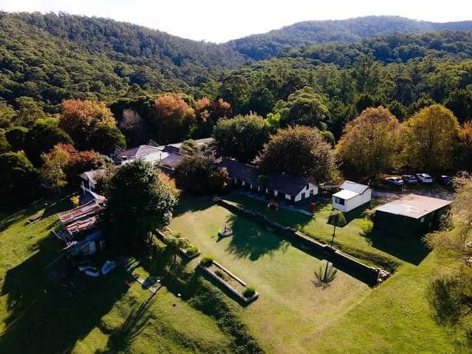 Return to Stillness in Healesville
