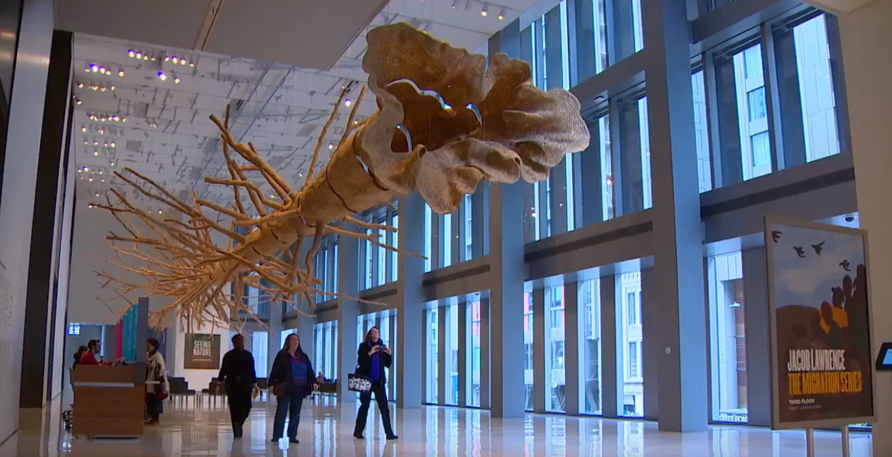 Middle Fork at Seattle Art Museum