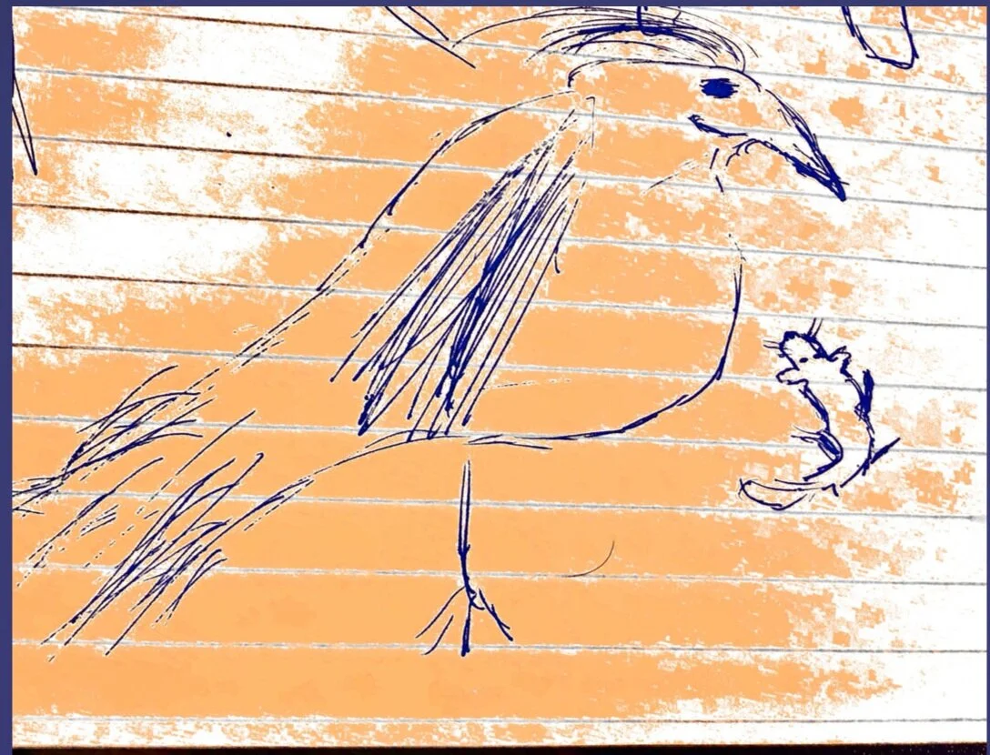 The Little Fox and The Big Bird