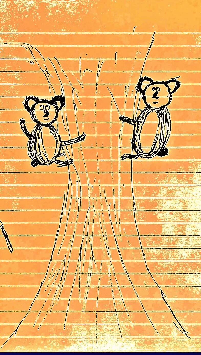 Two Old Koalas Forgot To Make A Reservation