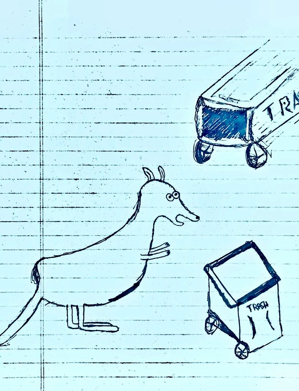 Chasing After The Trash Collector