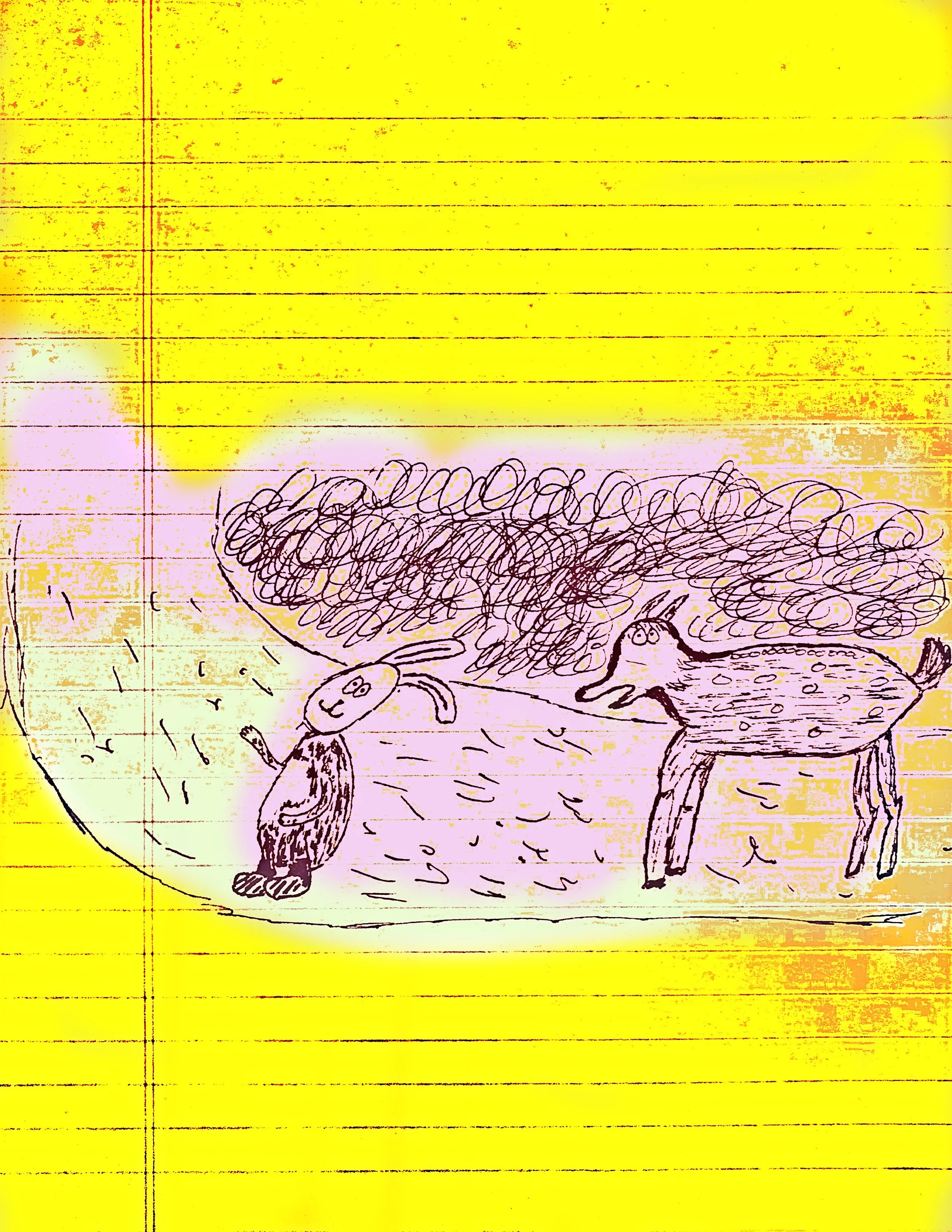 The Rabbit Makes The Rules