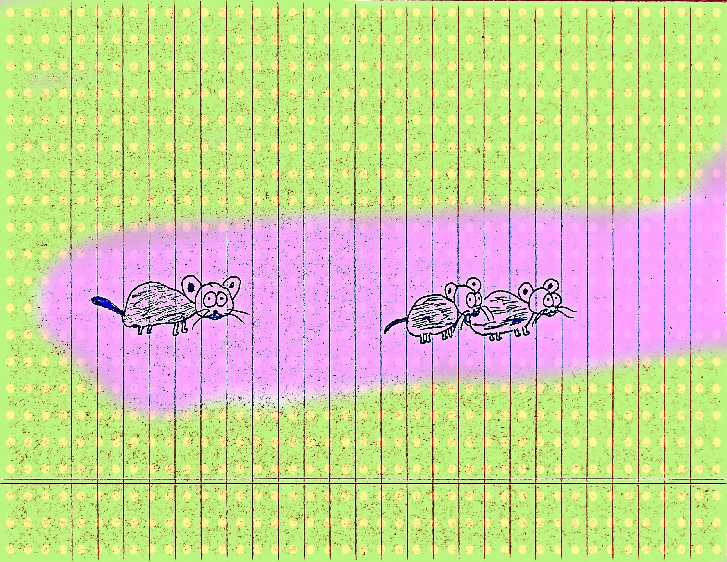 Leave No Mouse Behind