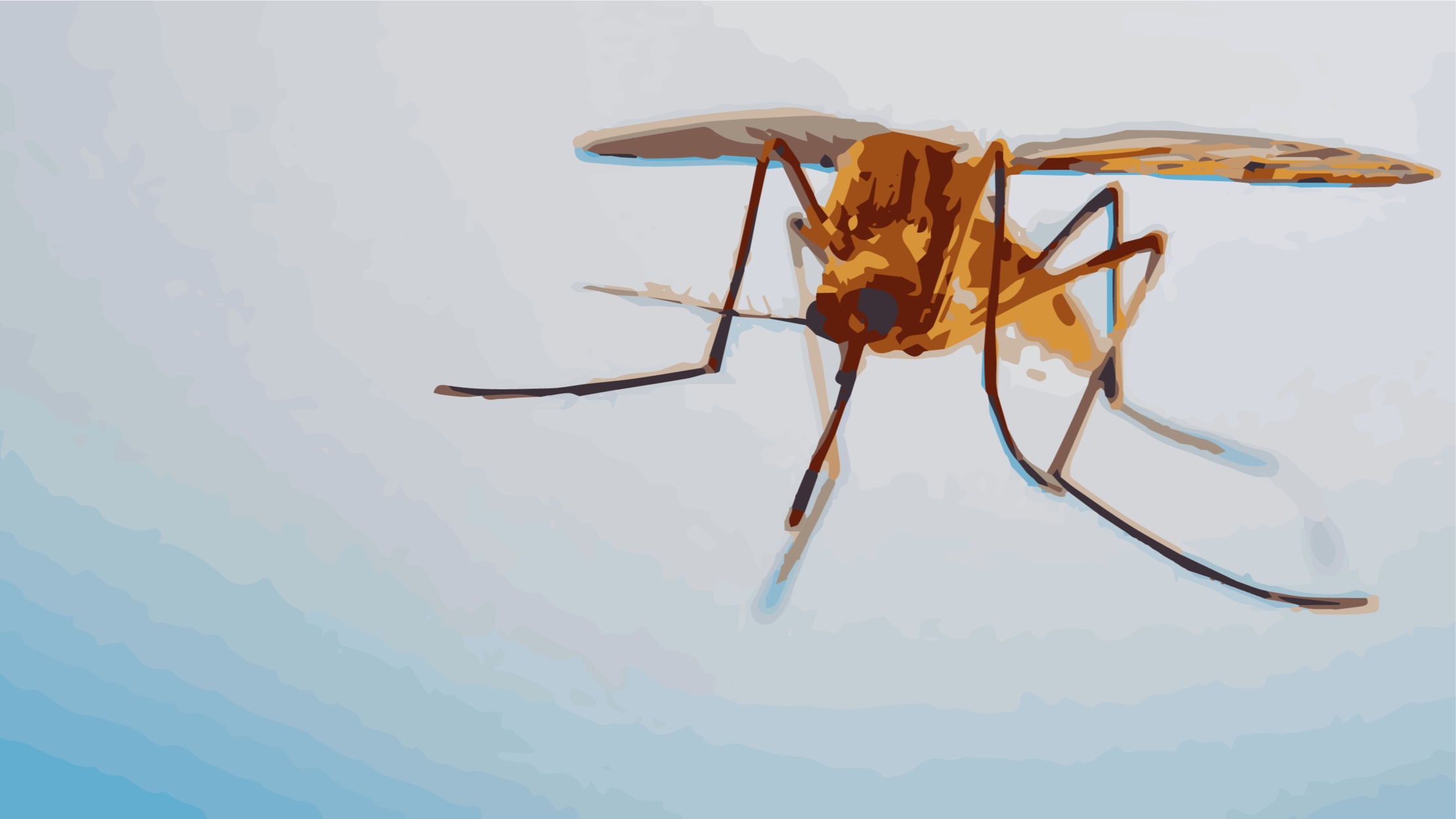 culex-pipiens-vector.jpg