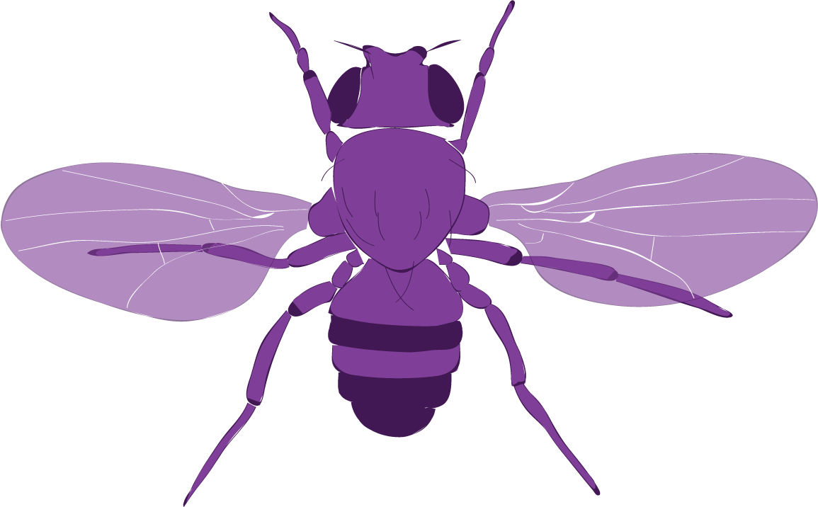 fly_vector.png