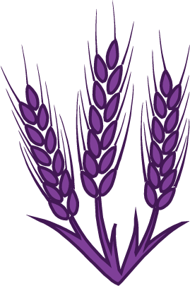 wheat_vector.png