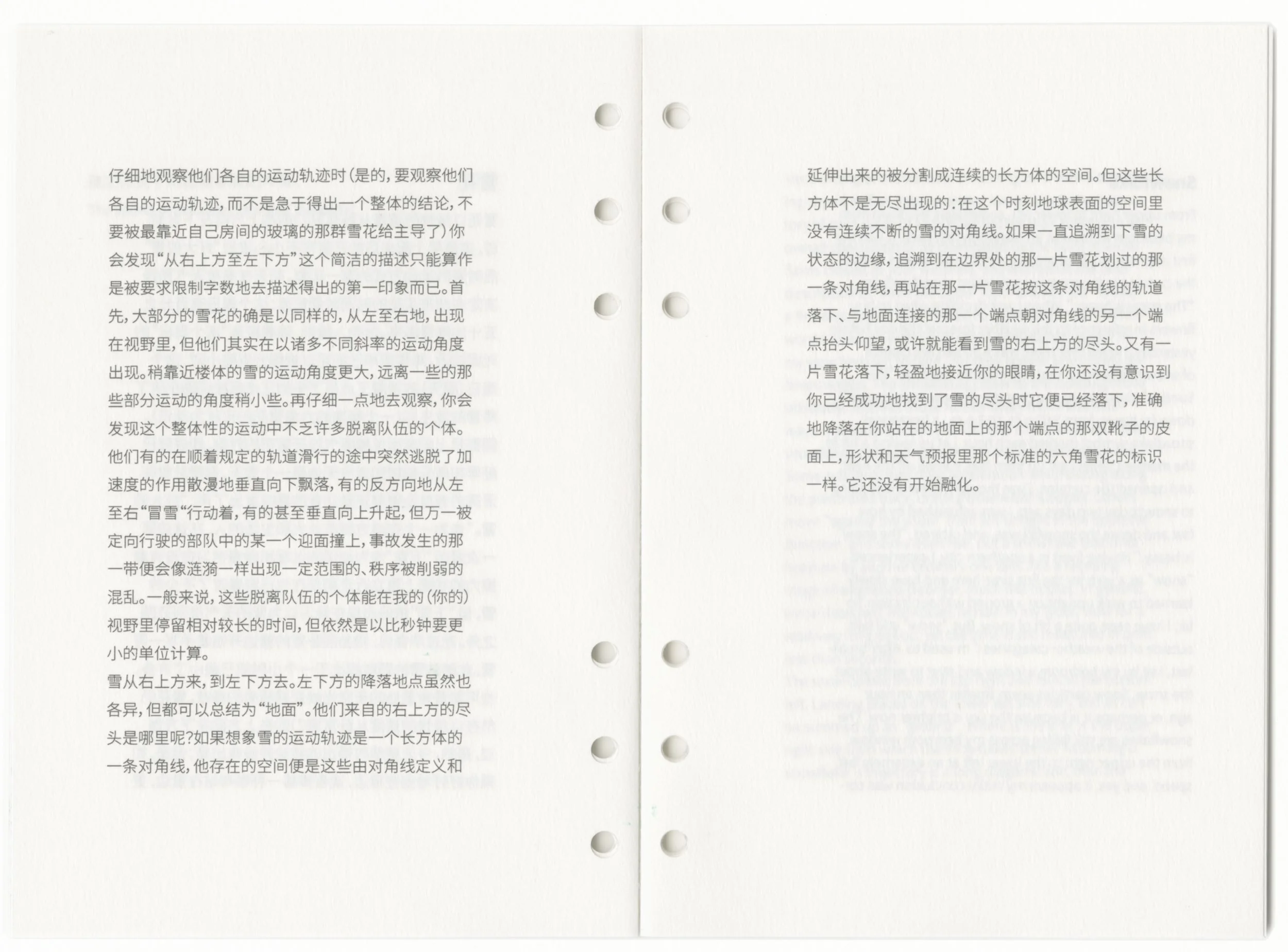 p4.jpg