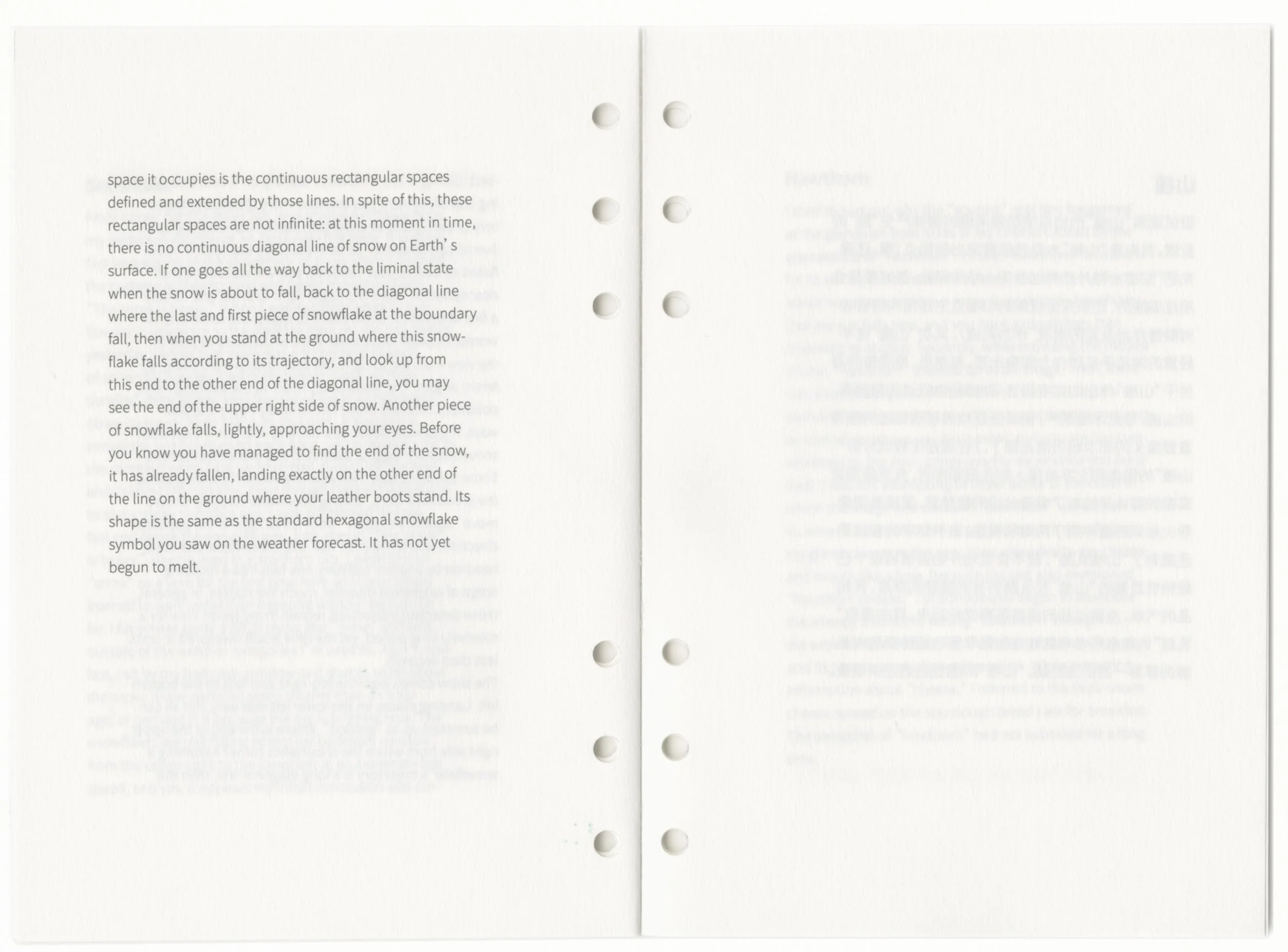 p6.jpg