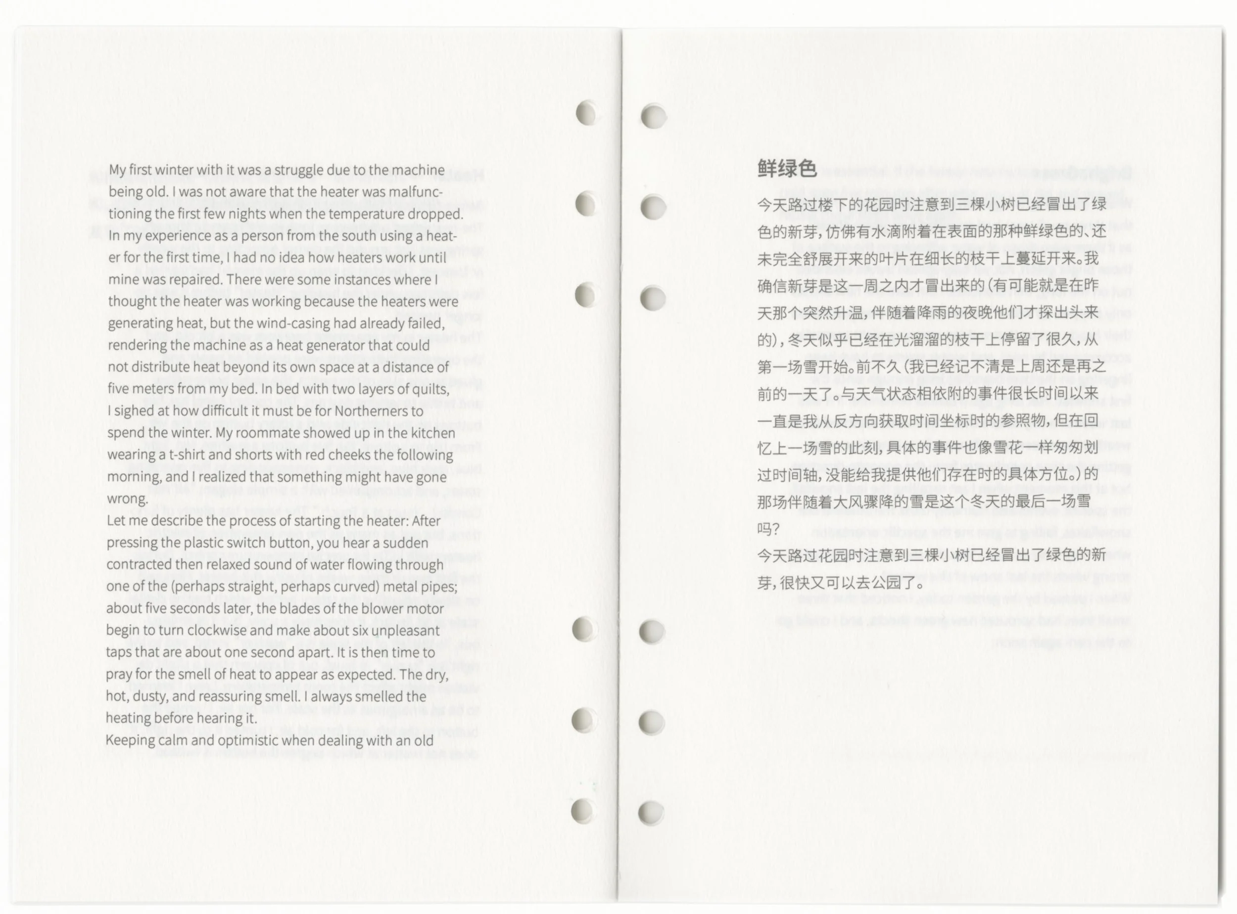 p8.jpg