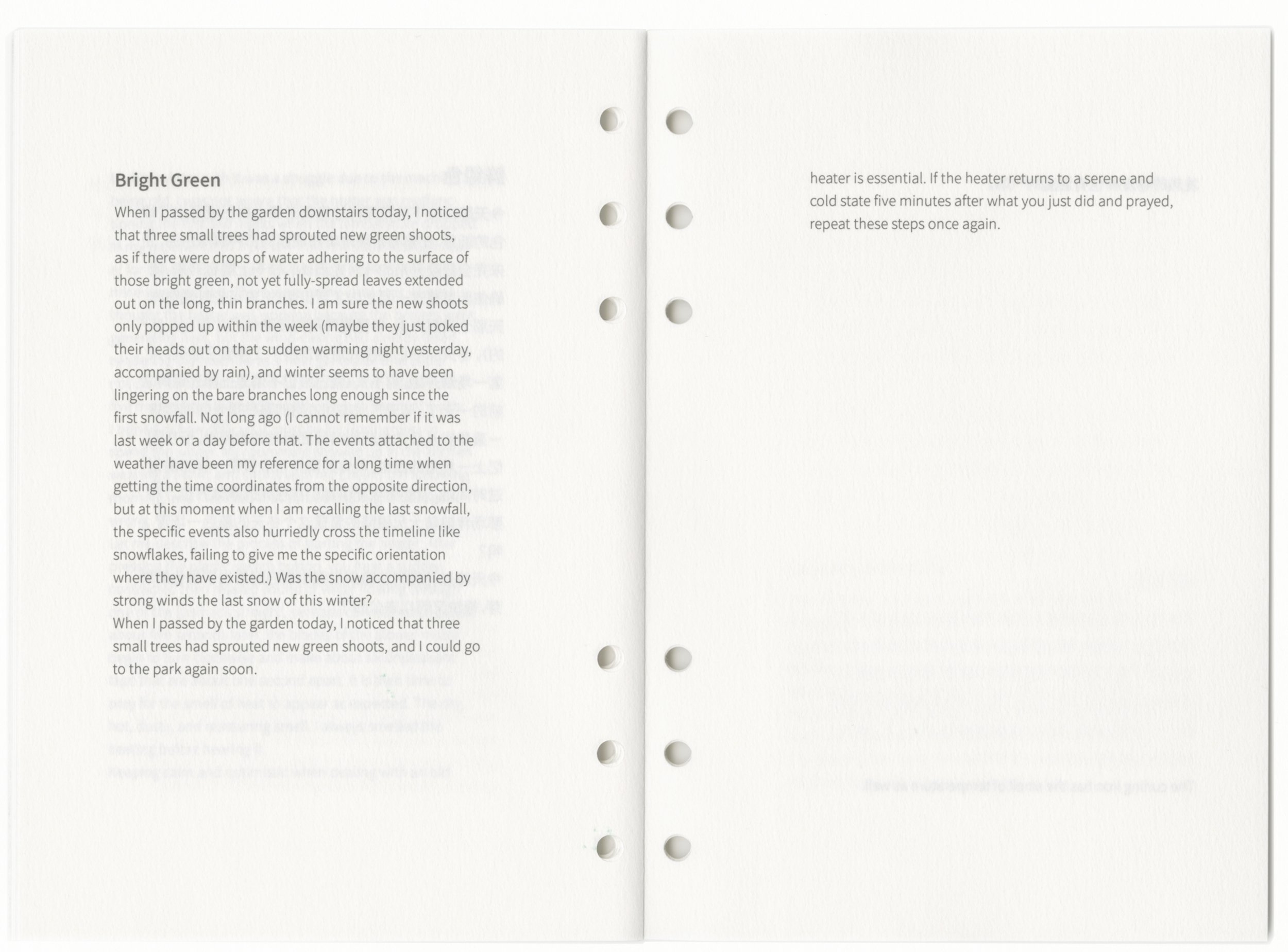 p9.jpg