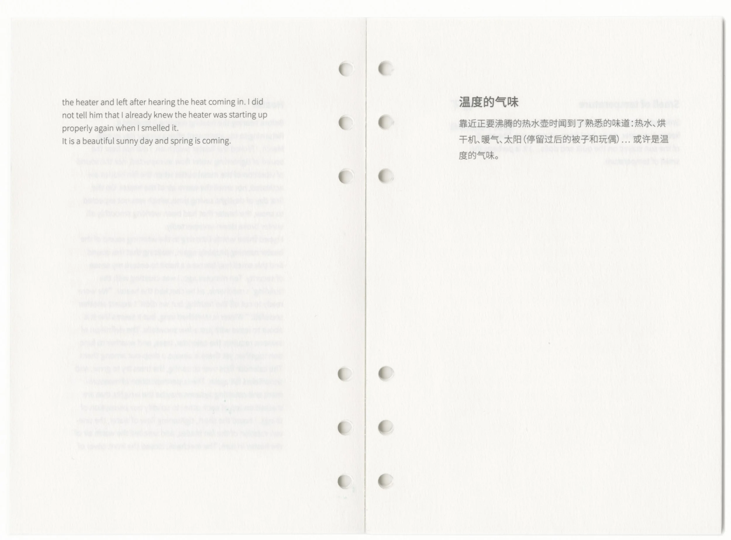 p10.jpg