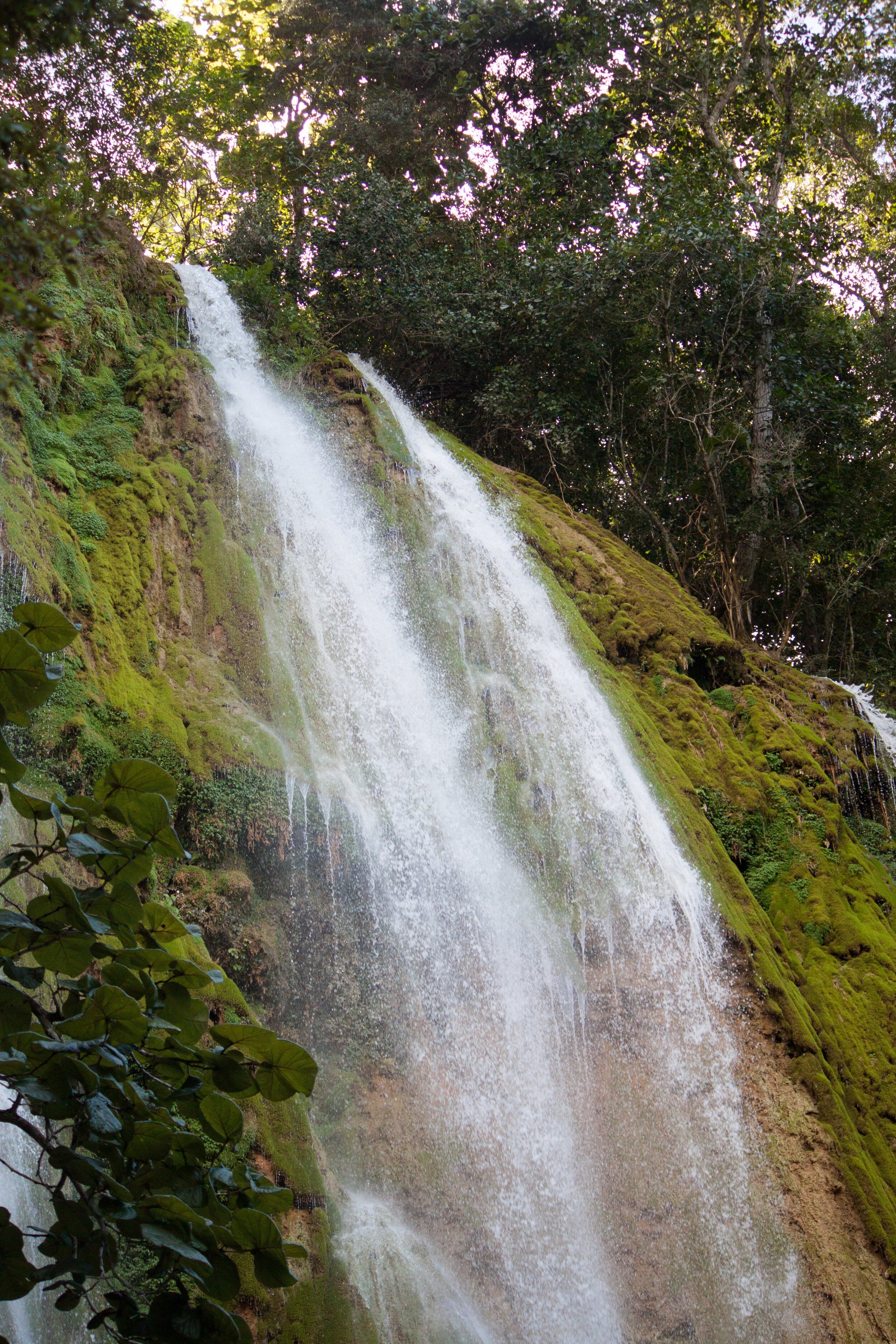 IMG_5276.jpg