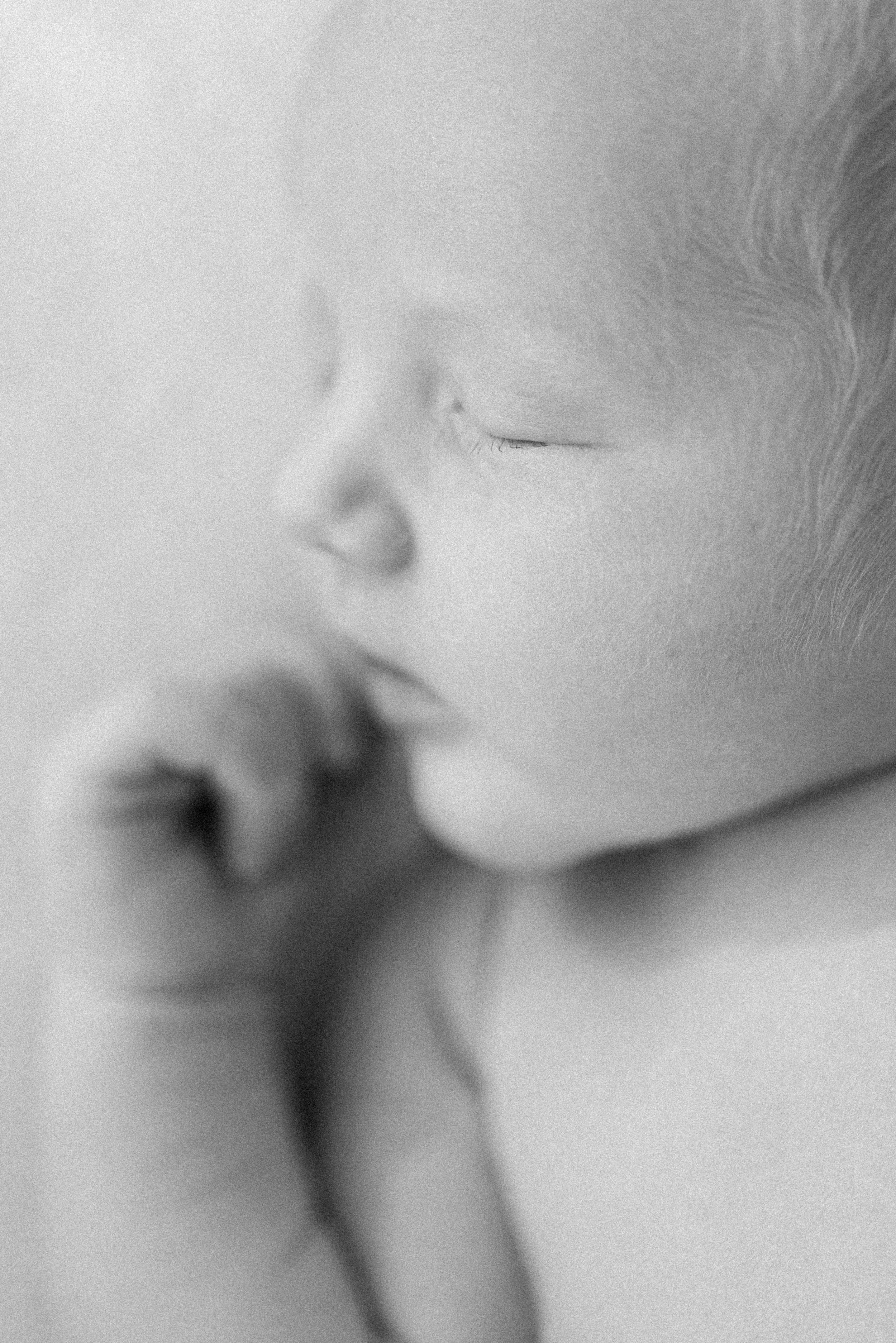 neugeborene baby Fotografie Fotografin Zürich