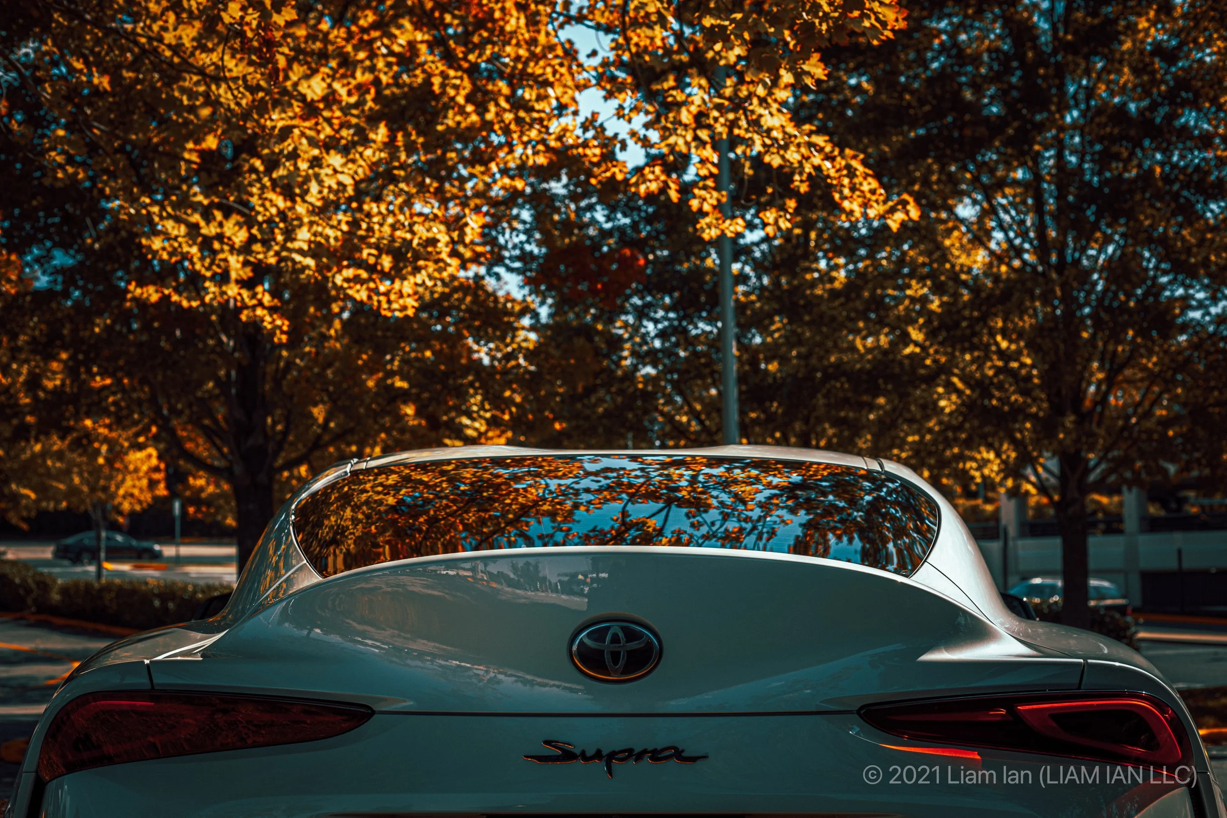 1H4A2912-2.jpg