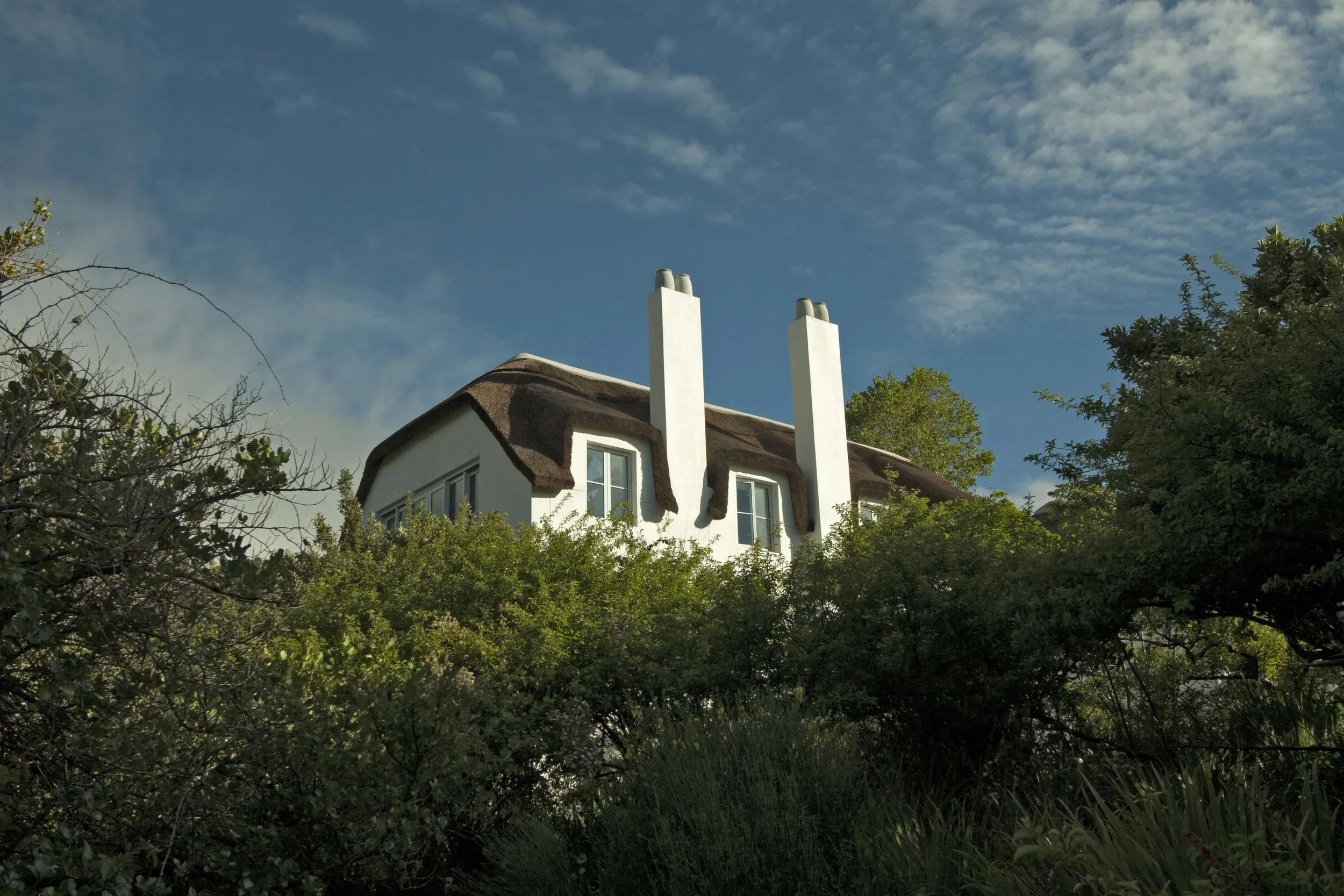 _MG_1042+lr (1).webp
