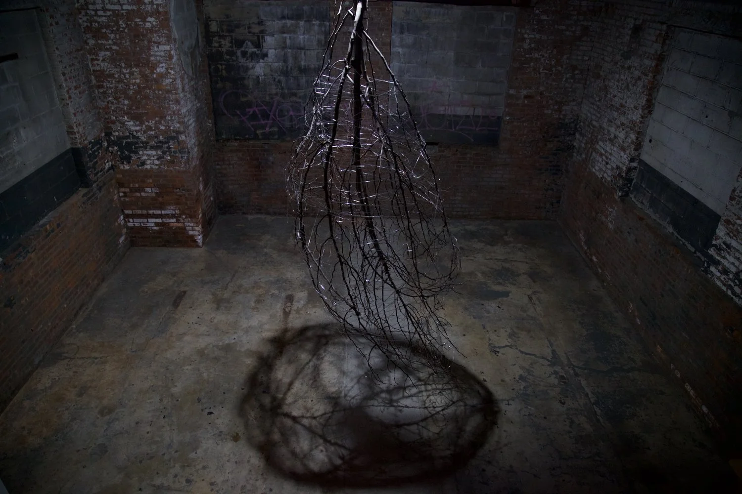 Installation+view+-+RODACH+ (1).jpg