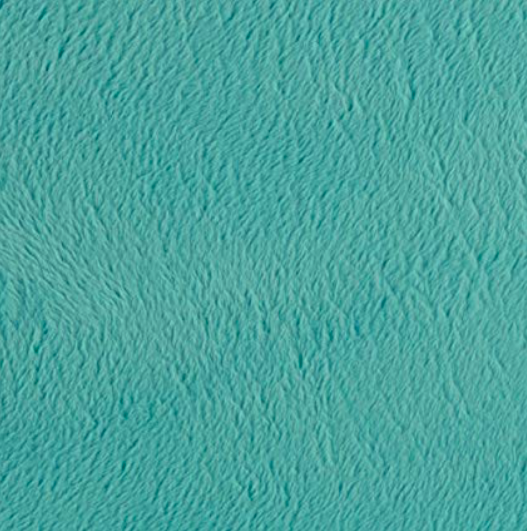  Cuddle Solid - Teal (Shannon Fabric)