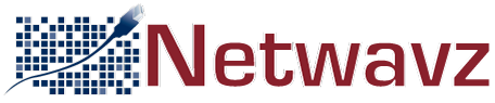 netwavz logo.png