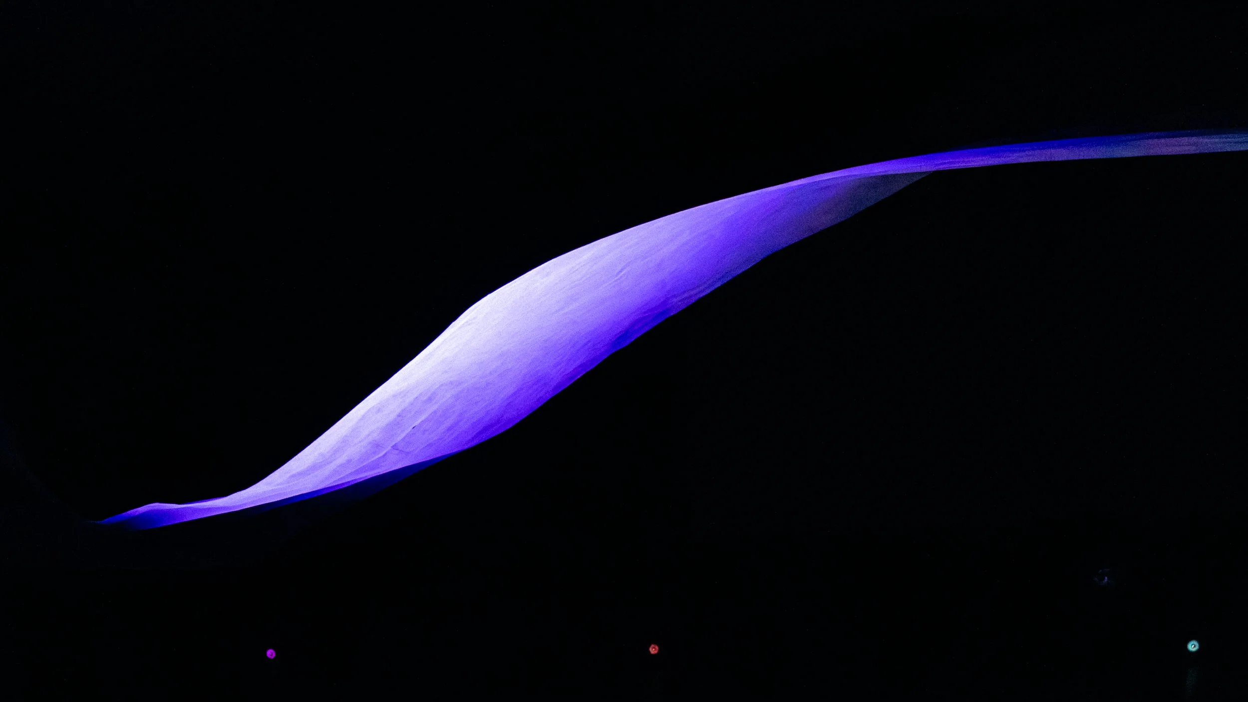 A close-up of a curved, smooth, purple and white object, possibly a feather or petal, against a black background with small, colorful light spots.