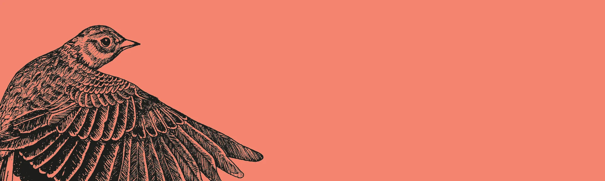 Homepage - Hero .jpg