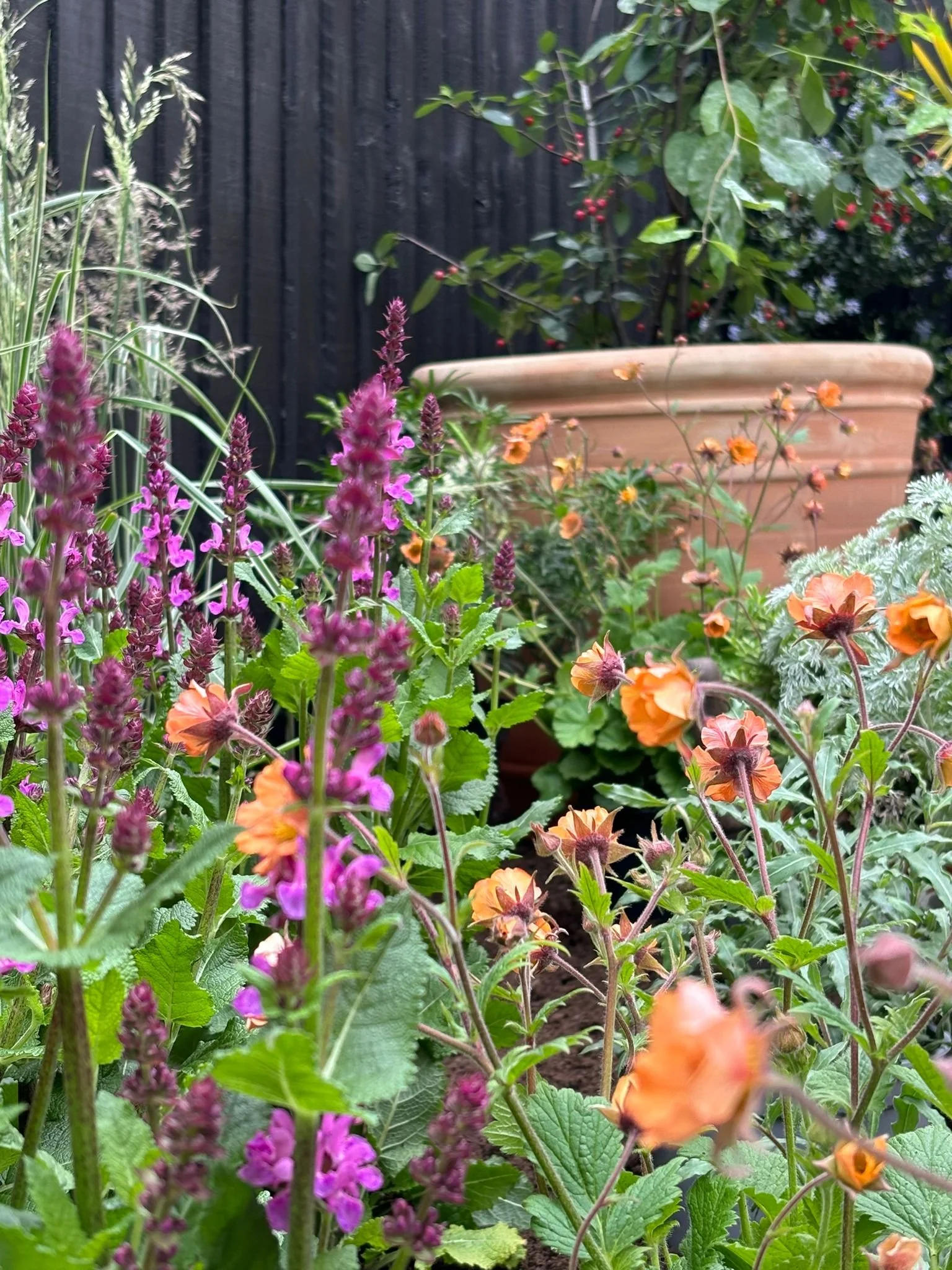 Small Garden, Big Impact: How to Elevate Your Outdoor Space