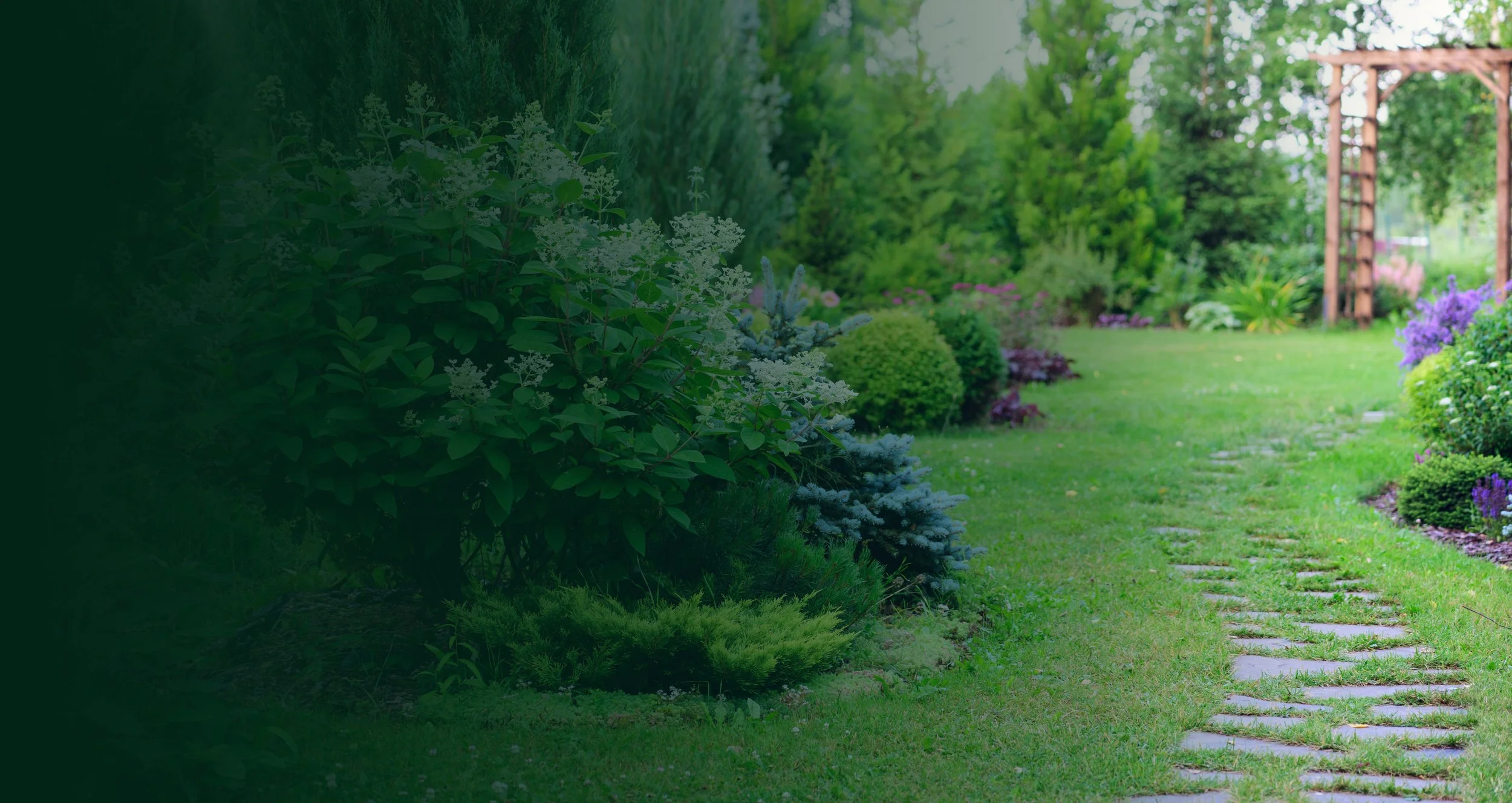 RG Header v1.jpg