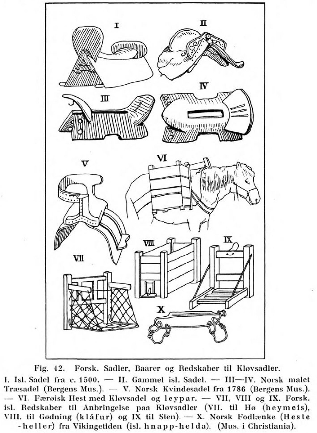 VI vísir føroyskt ross við klyvjum. Mynd: Bruun, 1909.