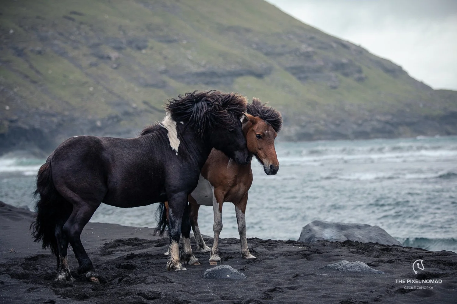 Aliarbeiði 2026 er byrja fyrr enn áður