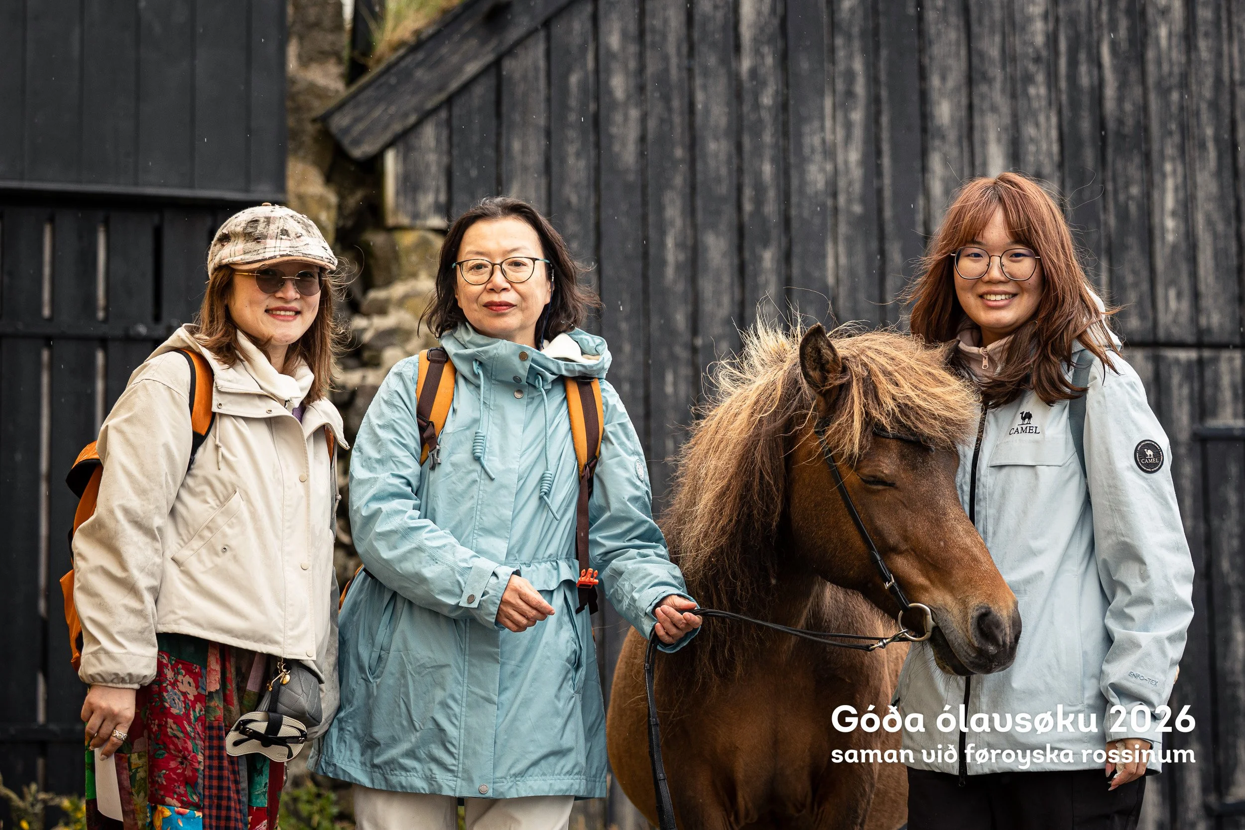 260728_Faroese-Horse-Olavsoka606.jpg