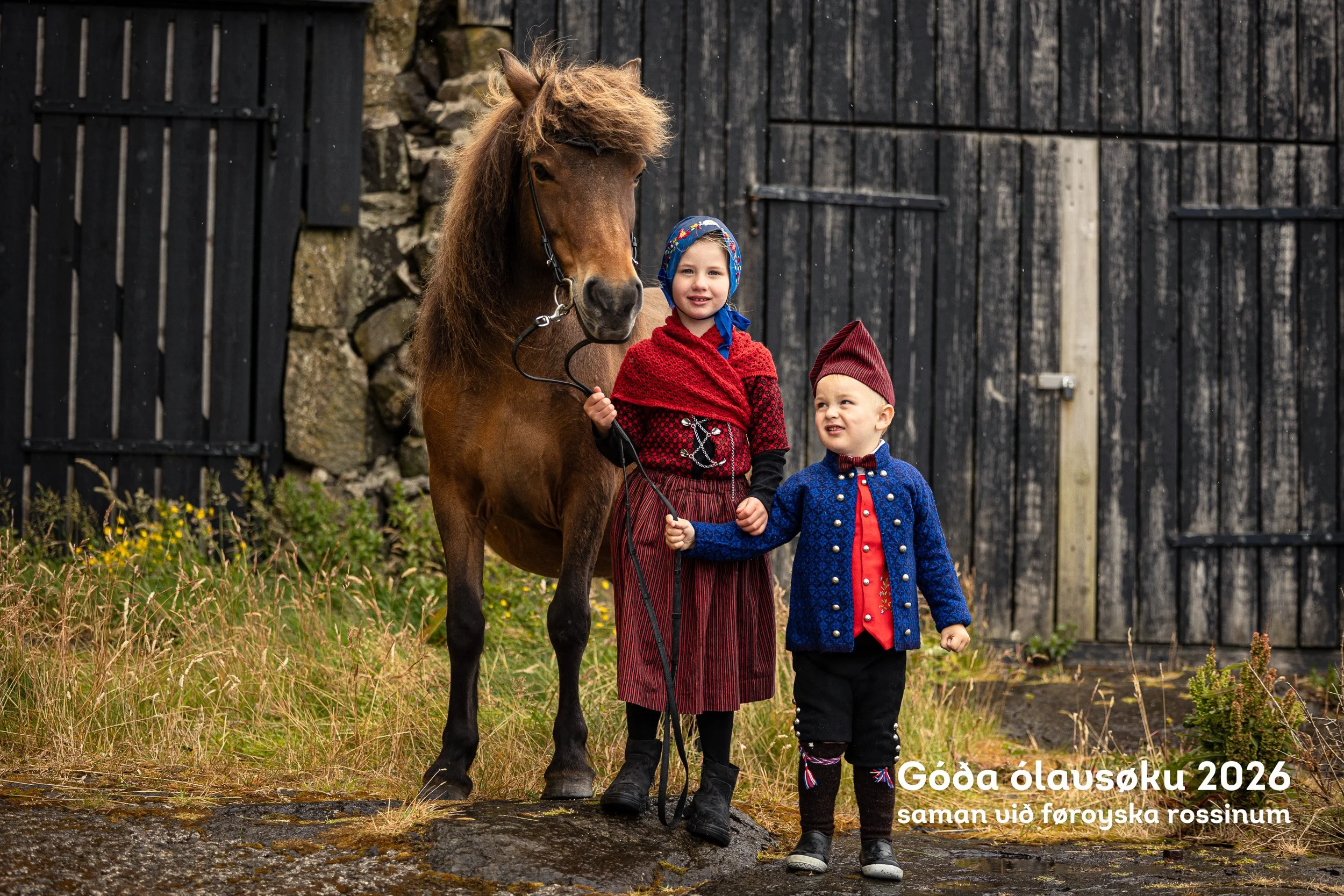 260728_Faroese-Horse-Olavsoka568.jpg