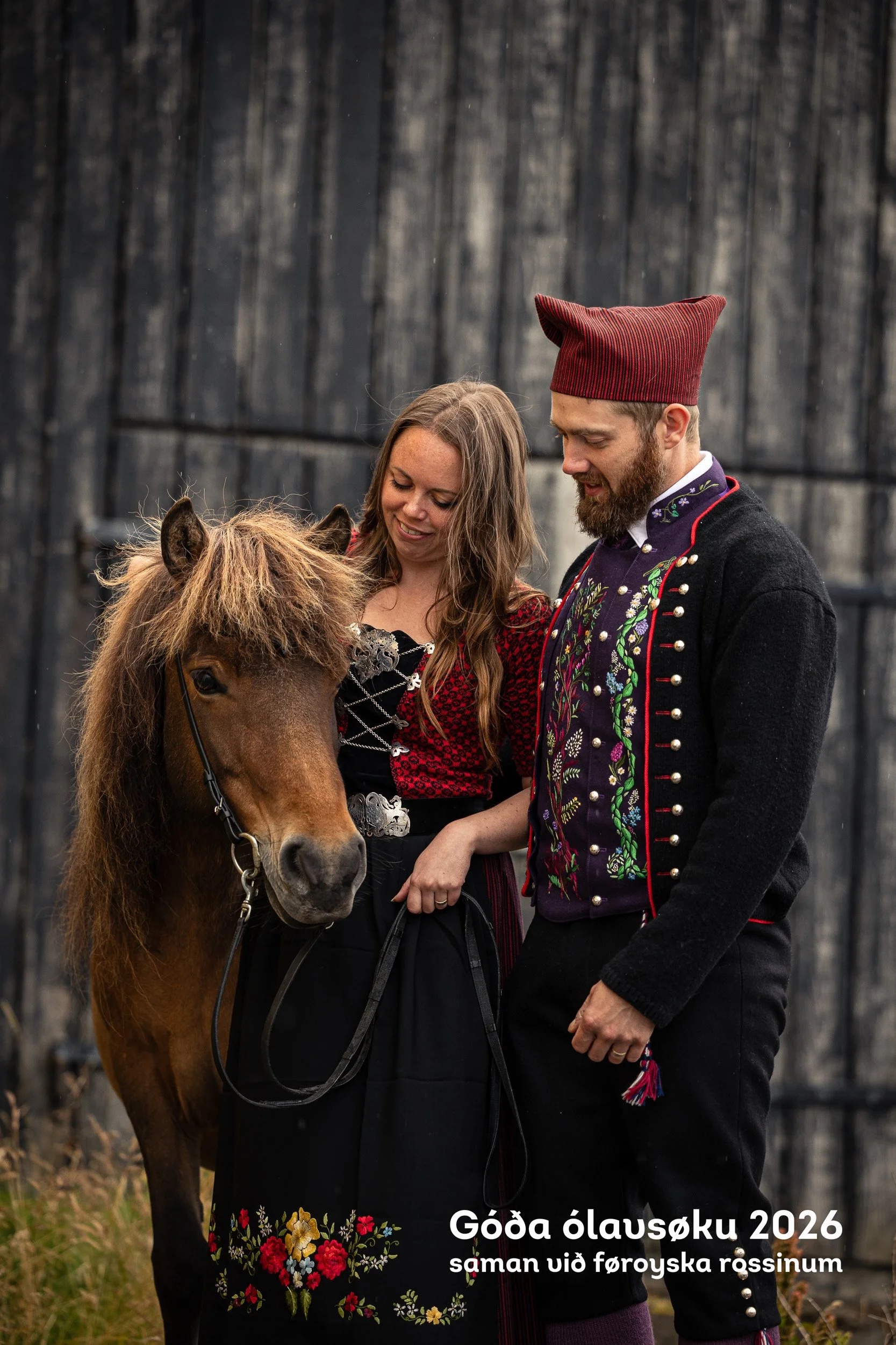 260728_Faroese-Horse-Olavsoka530.jpg