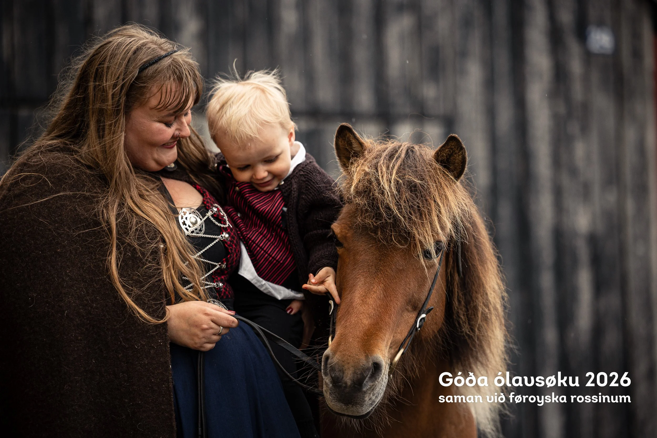 260728_Faroese-Horse-Olavsoka487.jpg