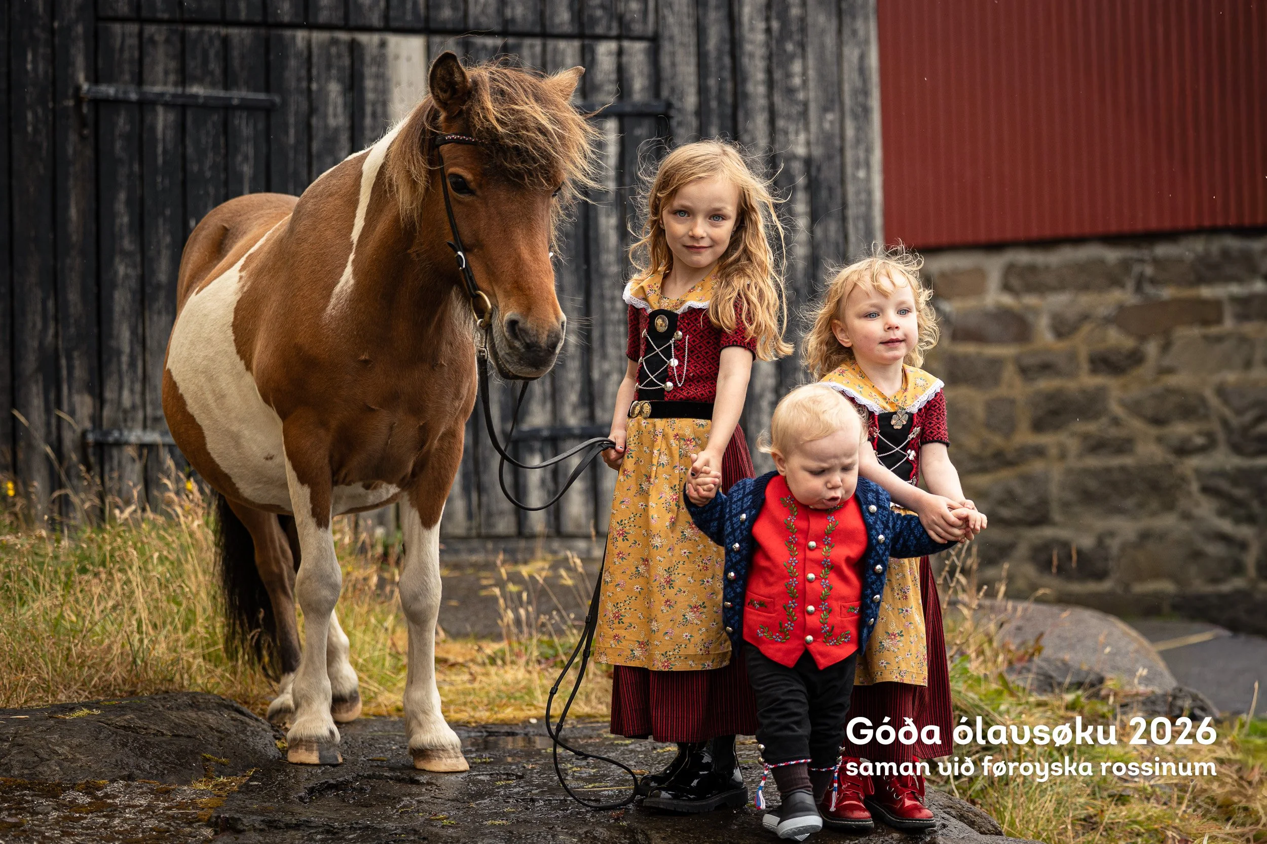 260728_Faroese-Horse-Olavsoka451.jpg