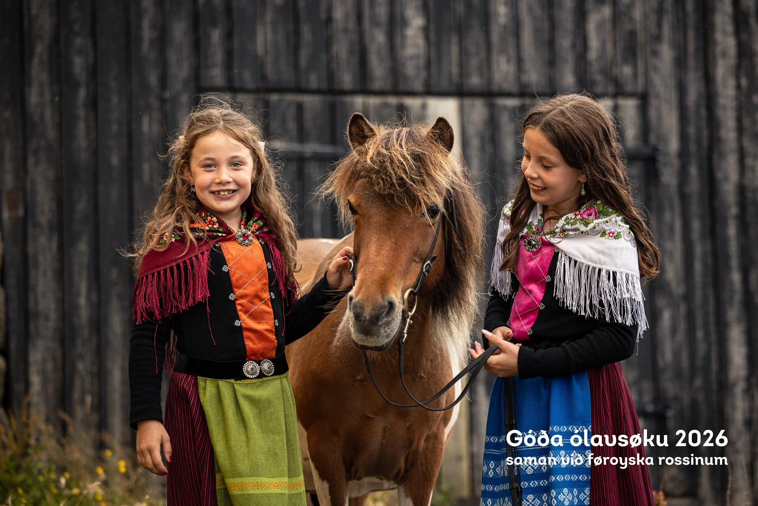 260728_Faroese-Horse-Olavsoka407.jpg