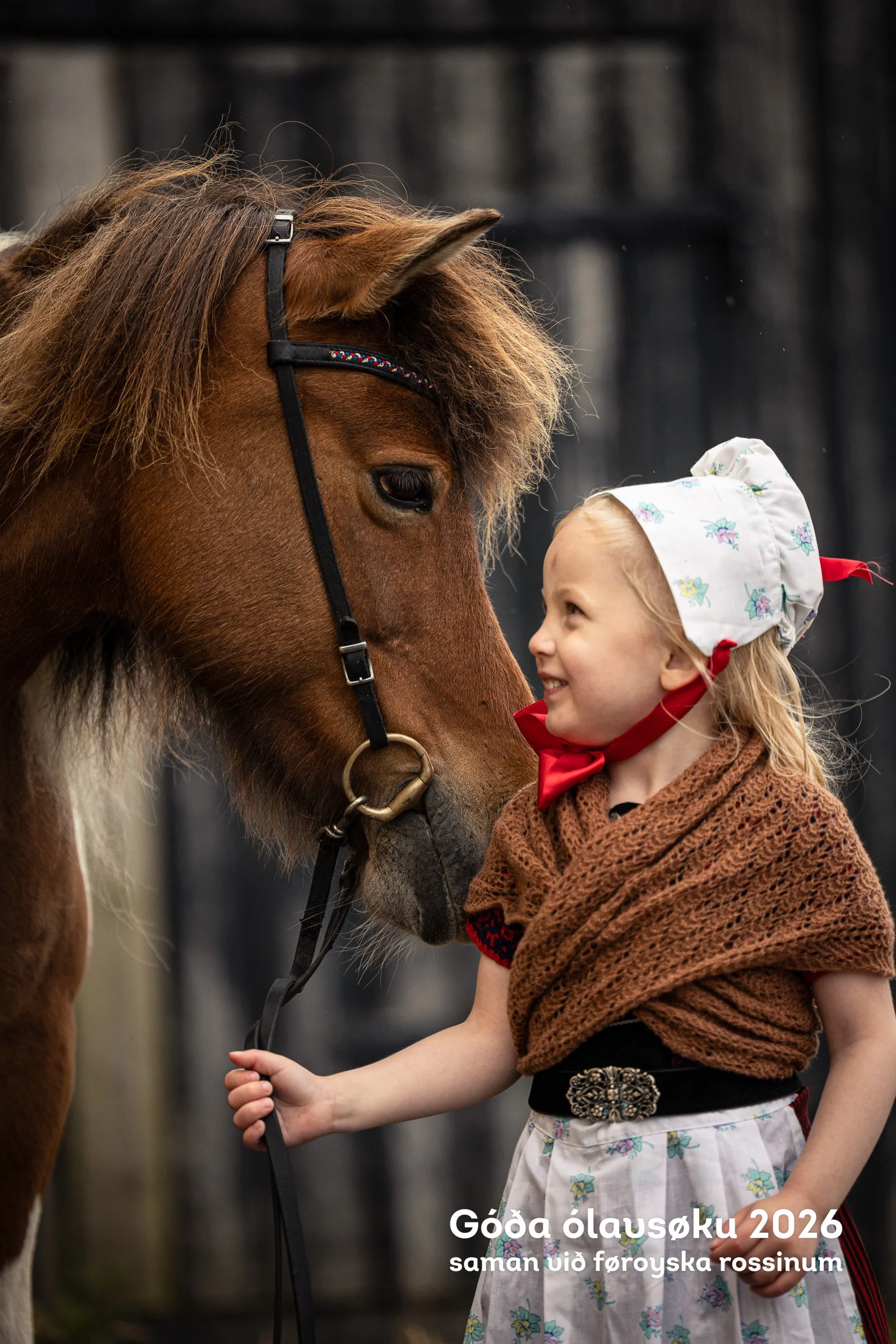 260728_Faroese-Horse-Olavsoka392.jpg