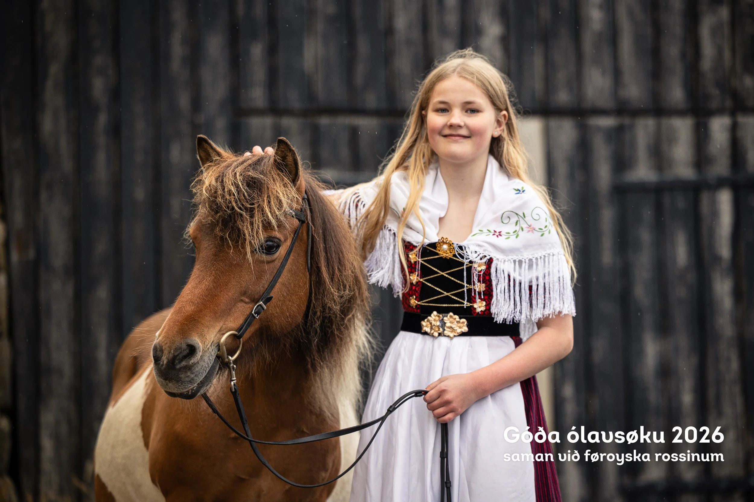 260728_Faroese-Horse-Olavsoka347.jpg