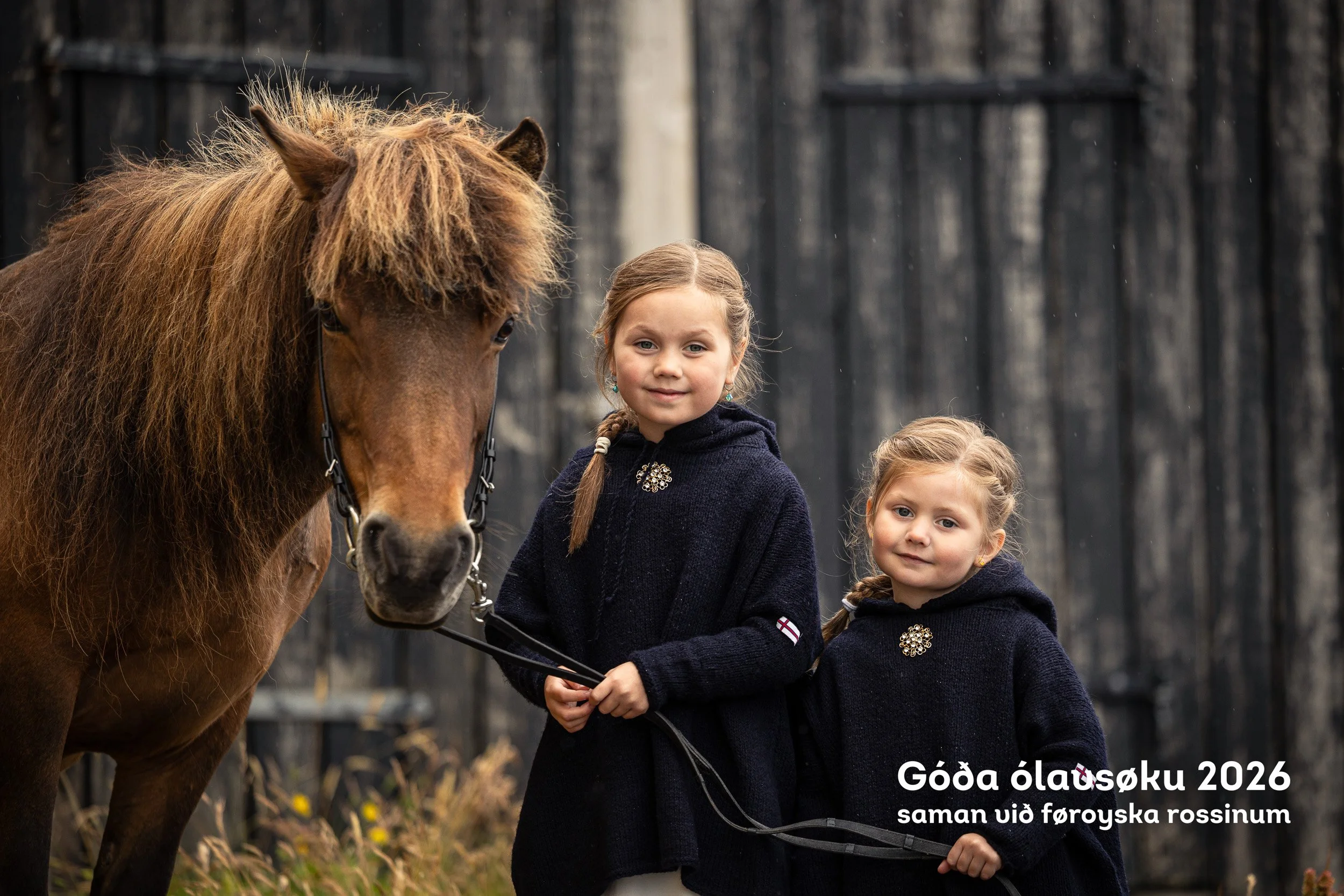 260728_Faroese-Horse-Olavsoka075.jpg